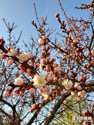 【不負(fù)好春光】+長春雕塑公園