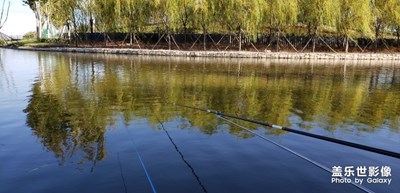 此處風(fēng)景可好