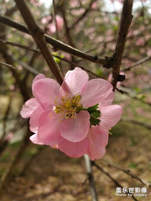遼陽廣佑寺風(fēng)景