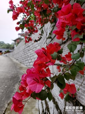 FZ金雞山及雙龍寺隨拍