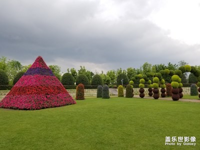 【不負(fù)好春光】+春天的魅力