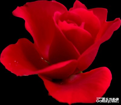 黑底被驚艷到了