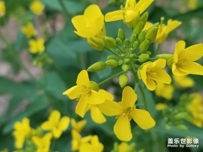 雜記?。?！