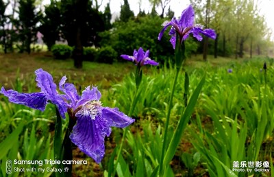 A70拍照還是可以的啊??
