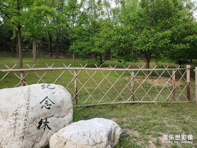 【不負(fù)好春光】+春光無限好