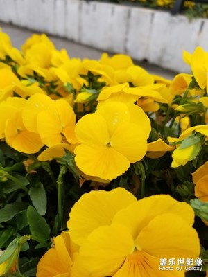 好的相機就要拿起就拍