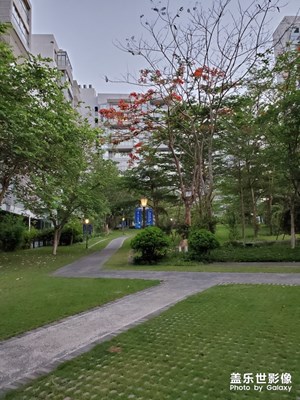 萬(wàn)科湖畔度假公園