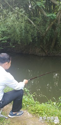 釣魚