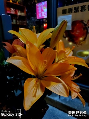 繁華大道背后的慢生活