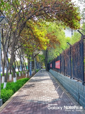 【不負(fù)好春光】春意盎然