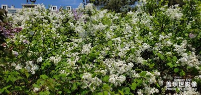 又是一年春暖花開時
