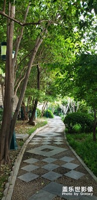 【不負(fù)好春光】+泉城護(hù)城河小道