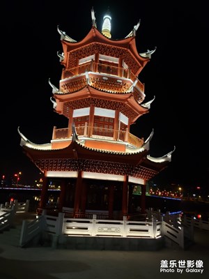 【不負(fù)好春光】-發(fā)現(xiàn)黑夜中的美