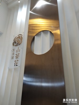 【不負(fù)好春光】+春天交流會(huì)
