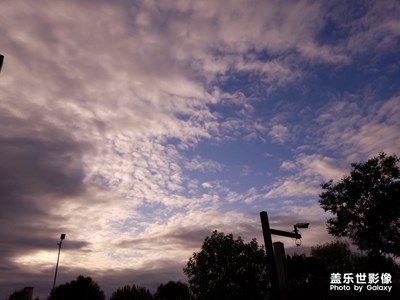 【不負好春光】+愛拍自然和伙伴