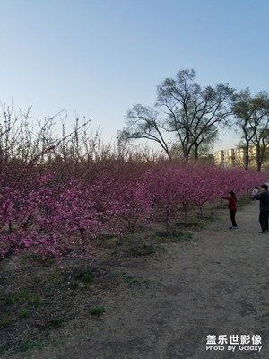 【玩轉五一】就是嗨