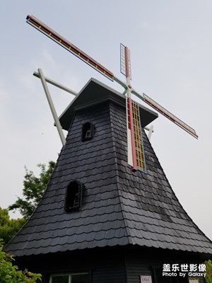 【玩轉(zhuǎn)五一】+鮮花港賞花