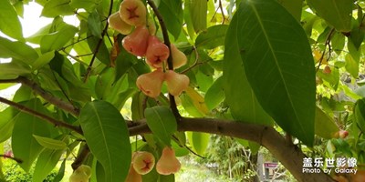 玩轉(zhuǎn)五一