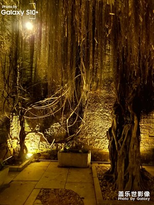 【玩轉(zhuǎn)五一】三坊七巷  四