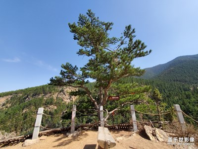 【玩轉(zhuǎn)五一】+賀蘭山蘇峪口國家森林公園