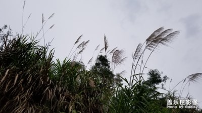 【玩轉(zhuǎn)五一】+身邊的風(fēng)景