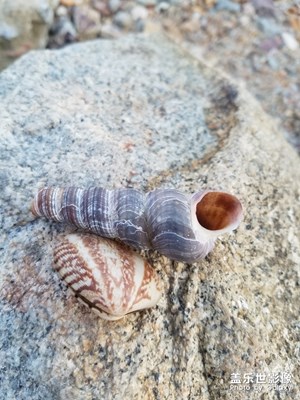 【玩轉(zhuǎn)五一】海邊一日游