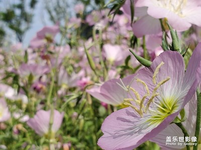 隨手拍