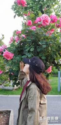 我家月季花！