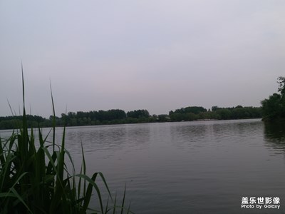 【玩轉(zhuǎn)五一】市郊公園走走