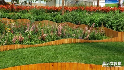 蒙草抗旱草博園