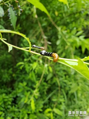 【玩轉(zhuǎn)五一】水庫(kù)