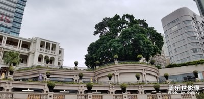 【玩轉(zhuǎn)五一】香港 買買買