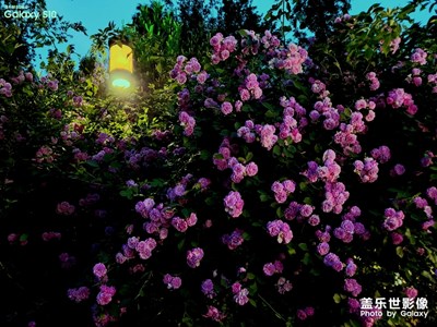 【走四方】+一城山色半城湖，大美濟(jì)南