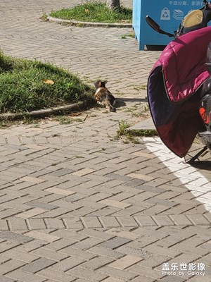 顏值手感俱佳的三星S10+