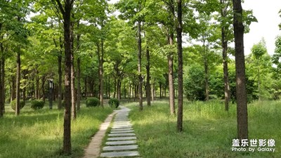 【走四方】開封