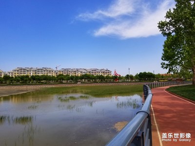 【初夏印象】+公園掠影