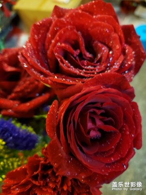 母親節(jié)，送給媽*花花