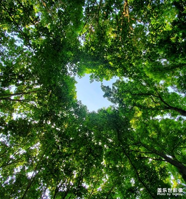 [初夏印象] 琵琶湖語