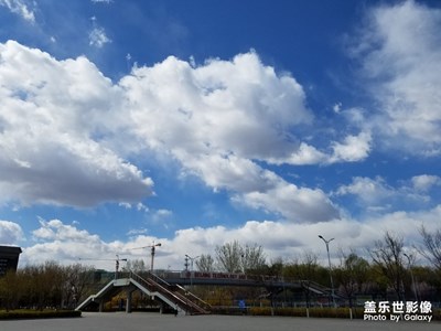 【初夏印象】＋午后藍天