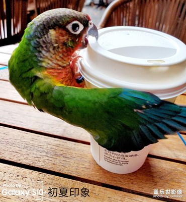 【初夏印象】五彩繽紛