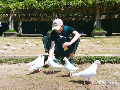 【初夏印象】+綠意盎然