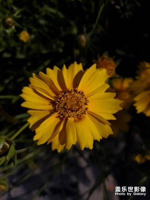 s10夜景隨拍幾張