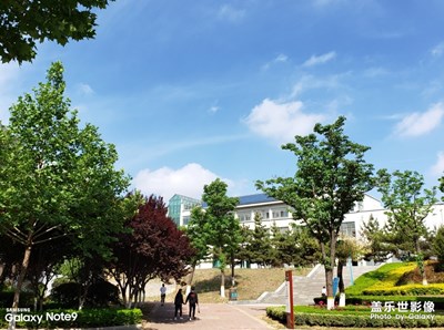 【初夏印象】+藍天綠樹還有小花花