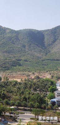 迎賓路中段山景