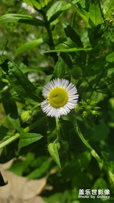 充分利用休息時間