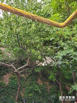 拍出來的大不一樣啊