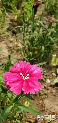 春天最后的福利