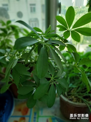 試拍一個(gè) 看看行不