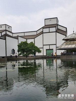 打卡蘇州博物館