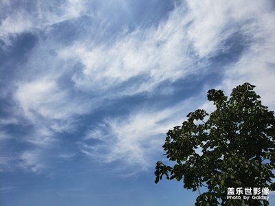 隨手拍-難得好天氣